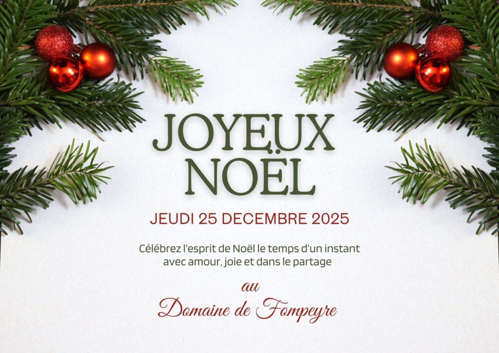 Déjeuner de Noël 2025